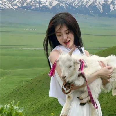 577计划